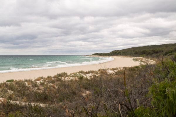 WA Coastline - NRxTMH Table Base Inspiration